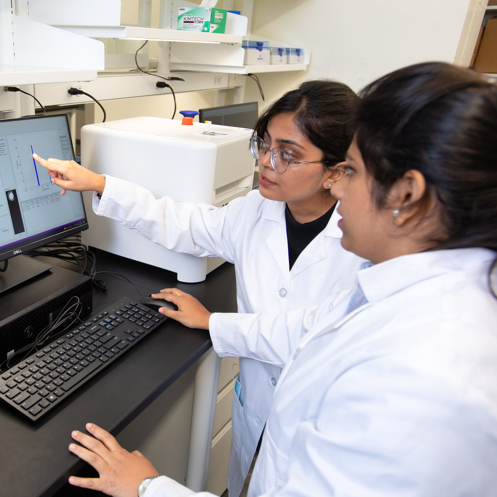 College of Pharmacy faculty researching in the Nejadnik Lab